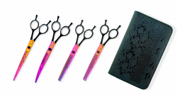 Pink PAWS SET_2Python